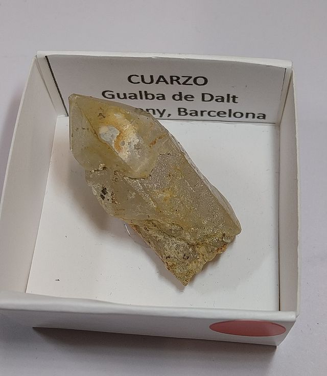 Lotto di 12 minerali in scatole da 4 x 4