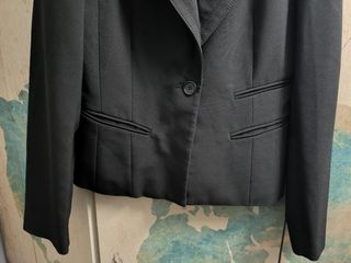 Americana Mango 