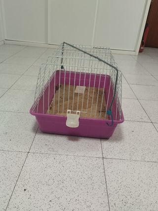 Transportín para perro 