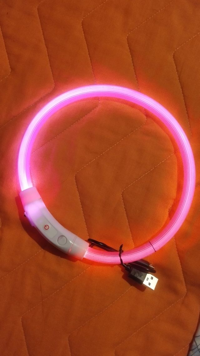 ✅Collar con luz para perros🐶