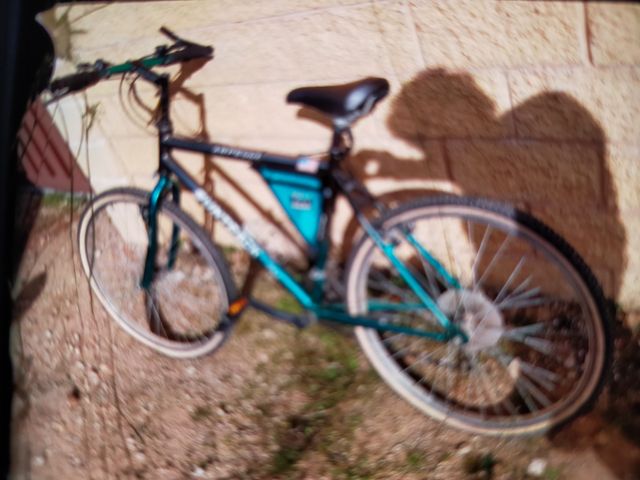 Bicicleta de montaña