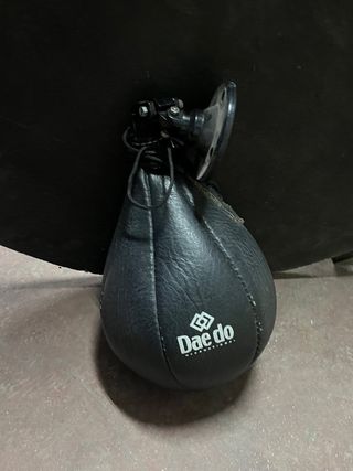 Pelota boxeo punching ball