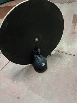 Pelota boxeo punching ball