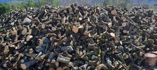 Paletto per legna da ardere essiccato di Naranjo