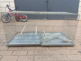 Jaula cria agapornis