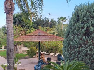 Sombrillas y pergolas de brezo mimbre