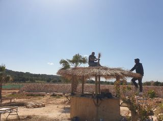Sombrillas y pergolas de brezo mimbre