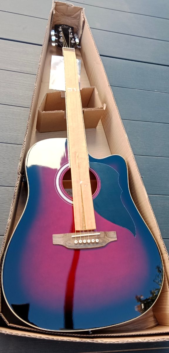 Guitarra electroacustica EKO ranger