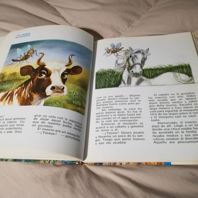 Cuentos de Enid Blyton