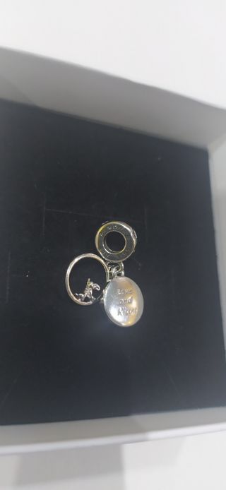 Charm de plata