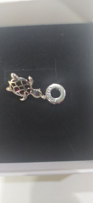 Charm de plata
