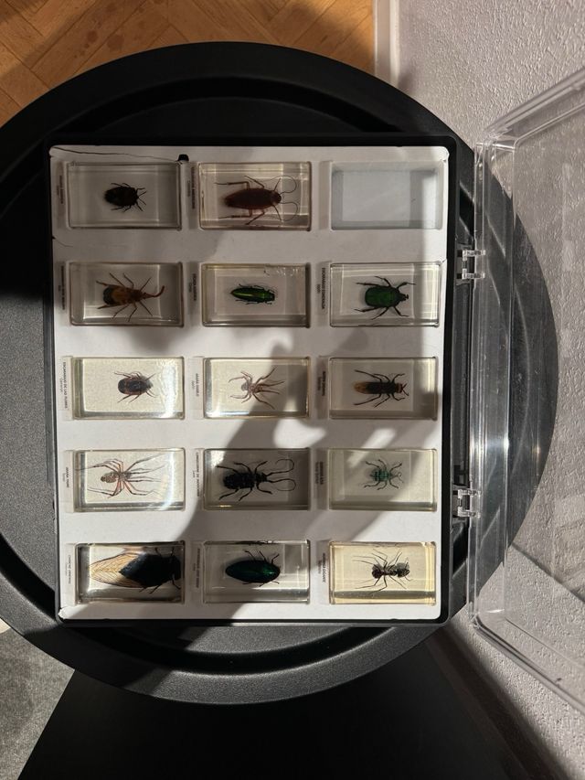 Colección completa de bichos de National Geographi