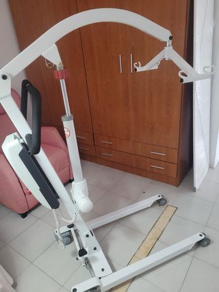 Grua Electrica con arnes