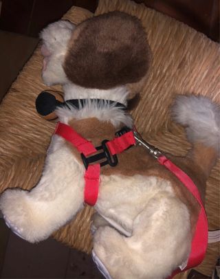 Peluche interattivi gatto venduto