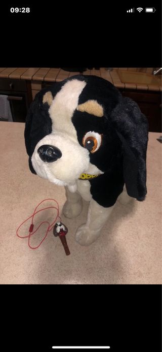 Peluche interattivi gatto venduto