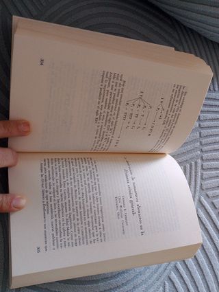 La Lengua y la Literatura en tiempos de Alfonso X