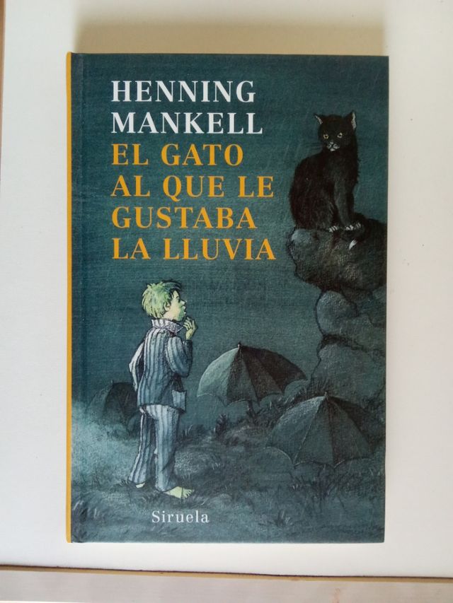 El gato al que le gustaba la lluvia (Las tres edades / The Three Ages) (Spanish Edition)