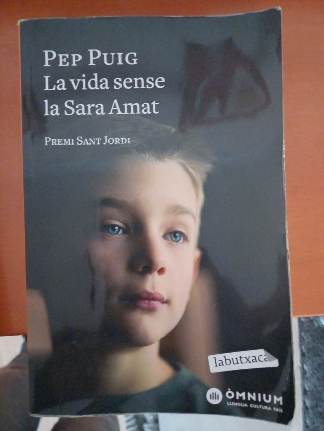 La vida sense la Sara Amat: Premi Sant Jordi 2015