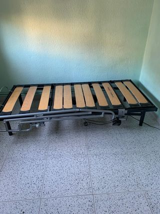 Cama