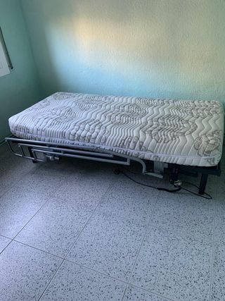 Cama