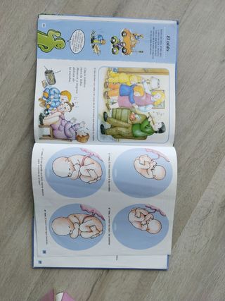 ¿De Dónde Vienen Los Niños?