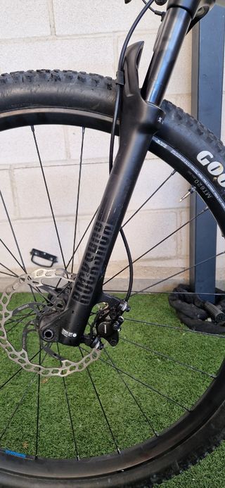 Bicicleta de carbono Ceccotti