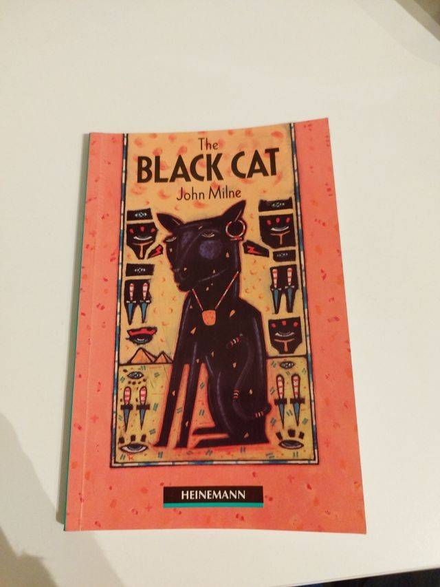 Black Cat: Heinemann Guided Readers