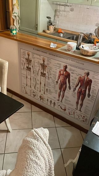 Psicologo ripetizioni scuola/interrogazioni