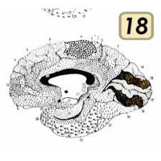 Psicologo ripetizioni scuola/interrogazioni