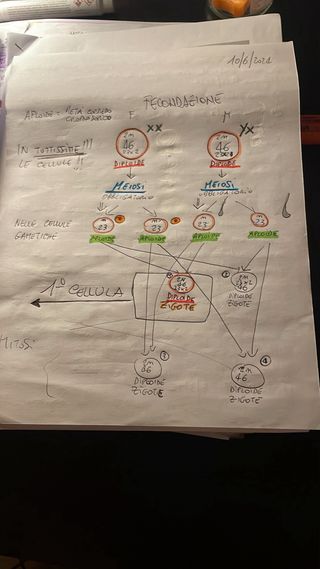 Psicologo ripetizioni scuola/interrogazioni