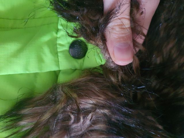 Cazadora de plumas y plumon muy cálida