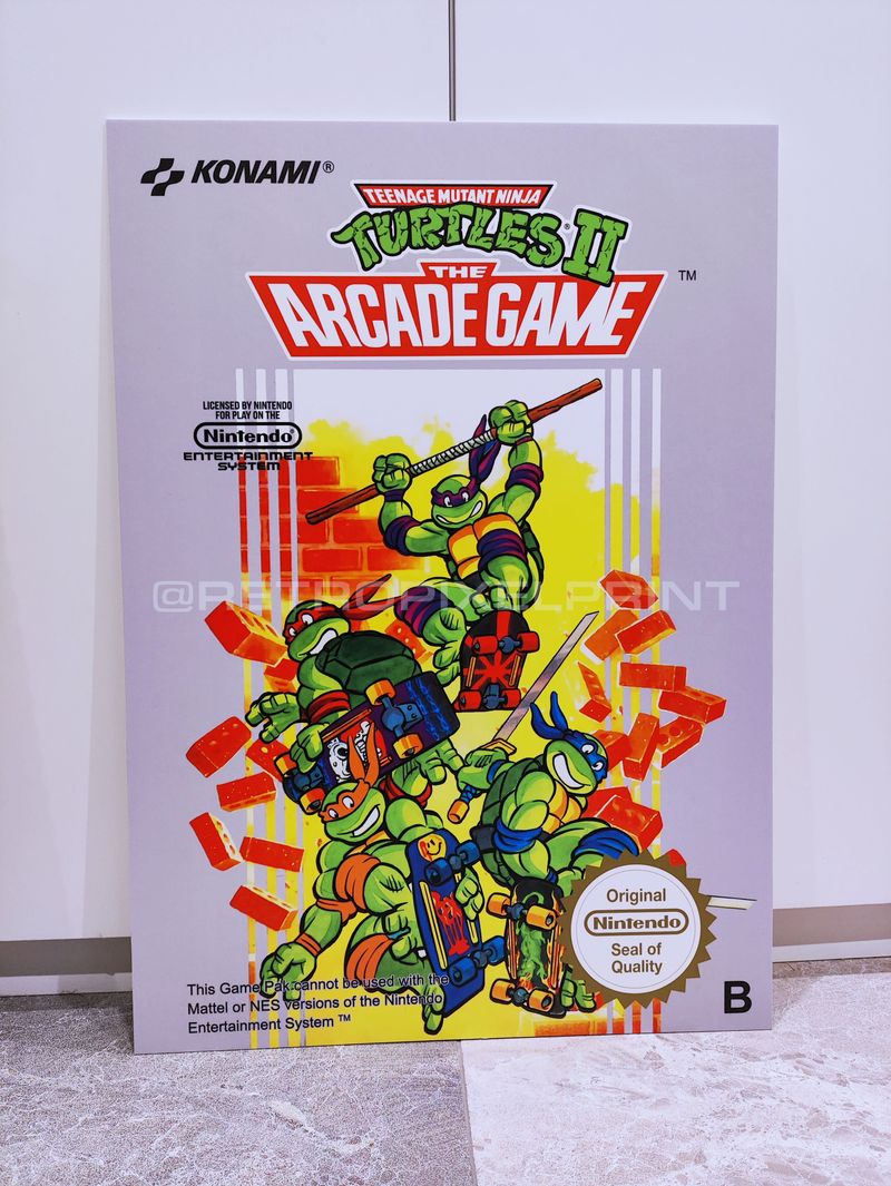 Imagen de TURTLES II cuadro