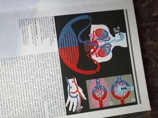 livro primeiros socorros de 1977