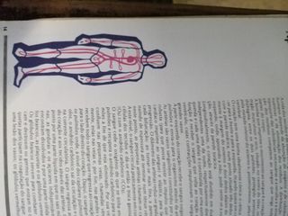 livro primeiros socorros de 1977