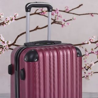 1 Maleta Mediana 20 kg Nueva 30€ Budeos