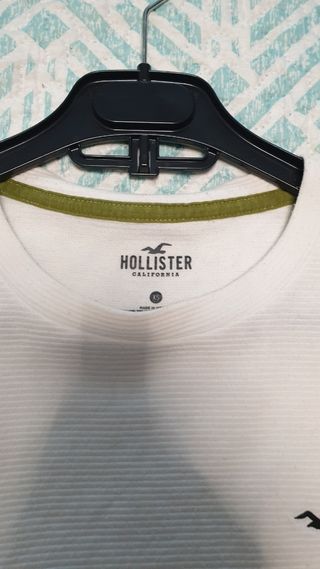 Jersey hollister fino