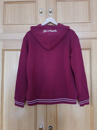 Sudadera Hollister