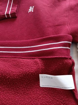 Sudadera Hollister