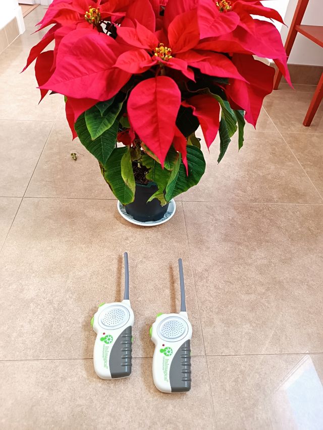 Walkie talkie niños