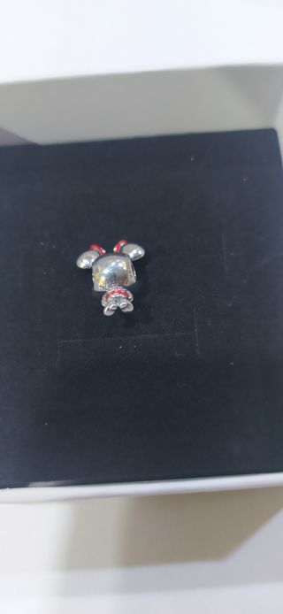 Charm de plata
