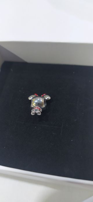 Charm de plata