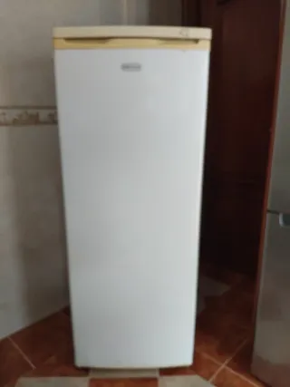 Congelador vertical.