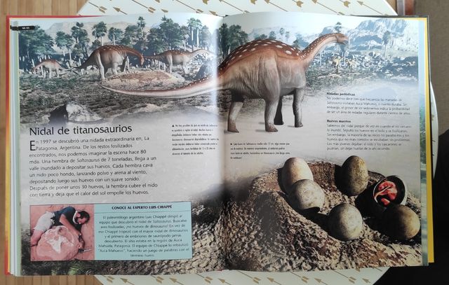Dinosaurios/ Dinosaurs (Spanish Edition)