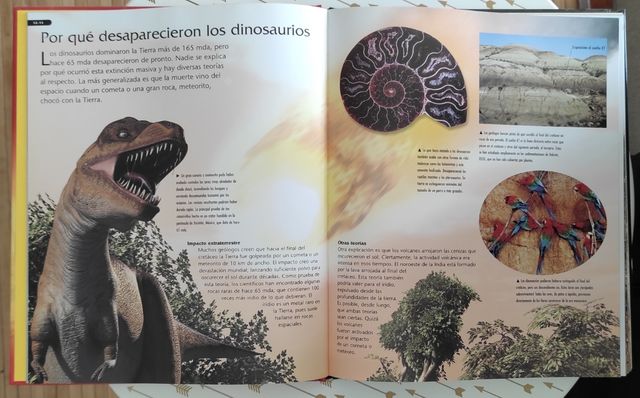 Dinosaurios/ Dinosaurs (Spanish Edition)