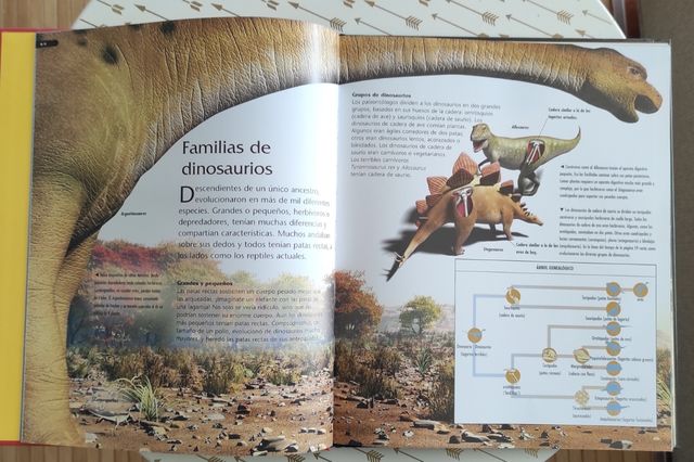 Dinosaurios/ Dinosaurs (Spanish Edition)