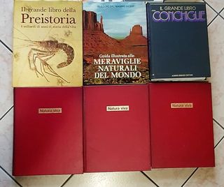 6 grandes libros culturales
