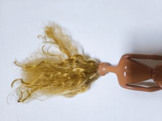 Barbie Tropical