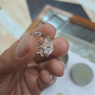 Swarovski cignus swan cigno