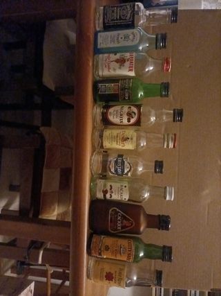 11 bottiglie di liquore vuote