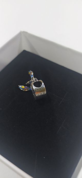 Charm de plata